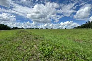 G & H County Road 20 / New Ebenezer Rd, Florala, AL 36442 - Photo 21