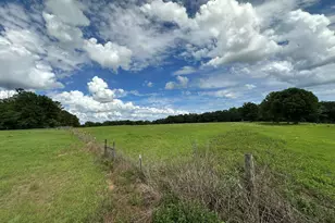 G & H County Road 20 / New Ebenezer Rd, Florala, AL 36442 - Photo 23