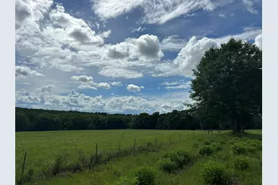 G & H County Road 20 / New Ebenezer Road, Florala, AL 36442 - Photo 29