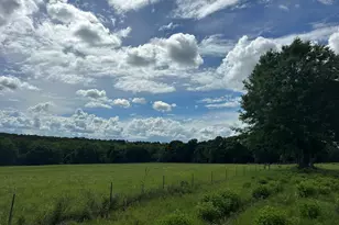 G & H County Road 20 / New Ebenezer Rd, Florala, AL 36442 - Photo 29