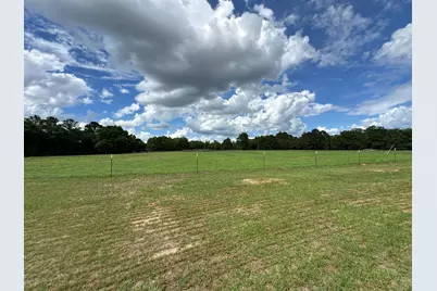 G & H County Road 20 / New Ebenezer Road, Florala, AL 36442 - Photo 7