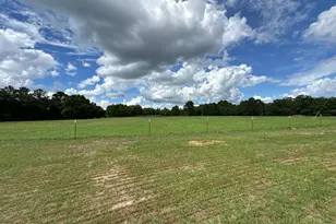 G & H County Road 20 / New Ebenezer Rd, Florala, AL 36442 - Photo 7
