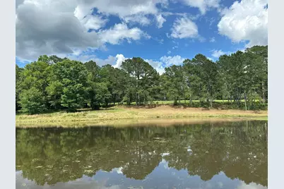 G & H County Road 20 / New Ebenezer Road, Florala, AL 36442 - Photo 57
