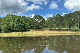 G & H County Road 20 / New Ebenezer Rd, Florala, AL 36442 - Photo 57