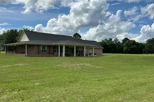 G & H County Road 20 / New Ebenezer Rd, Florala, AL 36442 - Photo 15