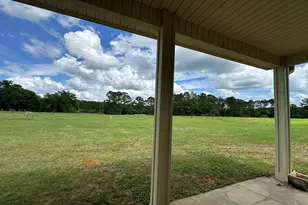 G & H County Road 20 / New Ebenezer Rd, Florala, AL 36442 - Photo 5