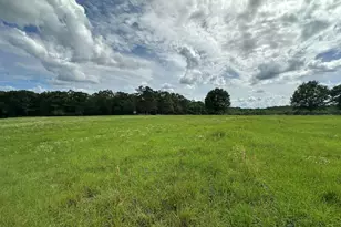G & H County Road 20 / New Ebenezer Rd, Florala, AL 36442 - Photo 25