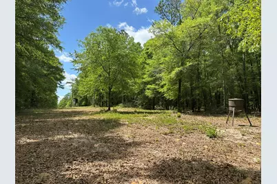 G & H County Road 20 / New Ebenezer Road, Florala, AL 36442 - Photo 45