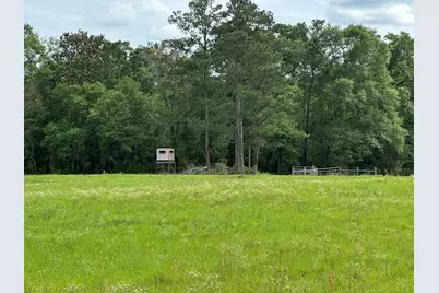 G & H County Road 20 / New Ebenezer Road, Florala, AL 36442 - Photo 27