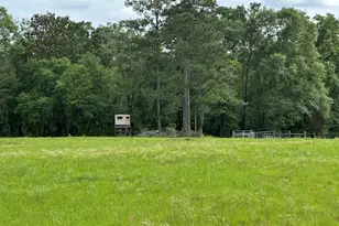 G & H County Road 20 / New Ebenezer Rd, Florala, AL 36442 - Photo 27