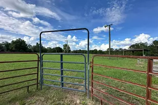 G & H County Road 20 / New Ebenezer Rd, Florala, AL 36442 - Photo 39