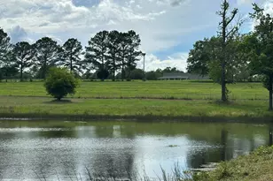 G & H County Road 20 / New Ebenezer Rd, Florala, AL 36442 - Photo 19