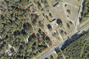 Lot 21 Co Hwy 1087, Defuniak Springs, FL 32433 - Photo 1
