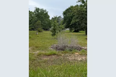 Lot 21 Co Highway 1087, Defuniak Springs, FL 32433 - Photo 3