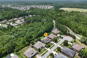 201 Canopy Cove, Freeport, FL 32439 - Photo 63