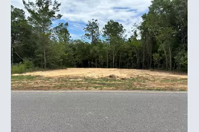 Lot 8 Trout Drive, Defuniak Springs, FL 32433 - Photo 1