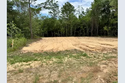 Lot 8 Trout Drive, Defuniak Springs, FL 32433 - Photo 3