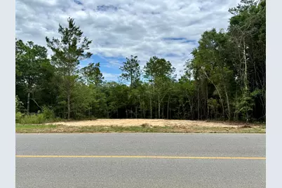 Lot 8 Trout Drive, Defuniak Springs, FL 32433 - Photo 5