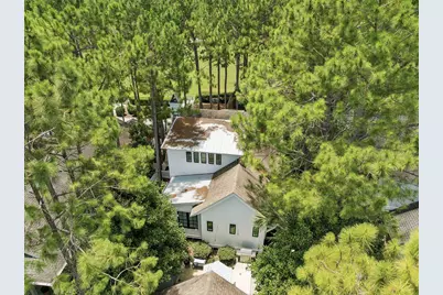 173 Cannonball Lane, Inlet Beach, FL 32461 - Photo 3
