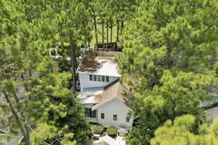 173 Cannonball Lane, Inlet Beach, FL 32461 - Photo 3
