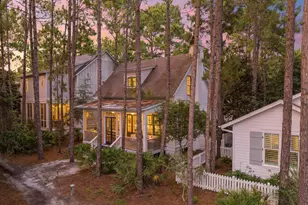 173 Cannonball Lane, Inlet Beach, FL 32461 - Photo 41