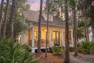 173 Cannonball Lane, Inlet Beach, FL 32461 - Photo 39