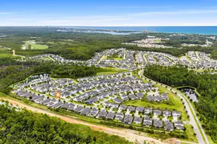 149 Windrow Way, Inlet Beach, FL 32461 - Photo 47