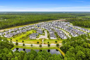 149 Windrow Way, Inlet Beach, FL 32461 - Photo 49