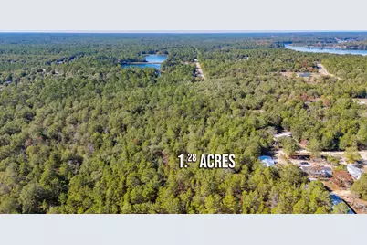 Xx Jim Cotton Drive, Defuniak Springs, FL 32433 - Photo 5