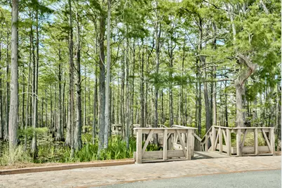 Lot 10 Cypress Drive, Santa Rosa Beach, FL 32459 - Photo 43