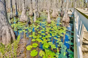 Lot 10 Cypress Dr, Santa Rosa Beach, FL 32459 - Photo 45