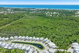 244 White Cottage Rd, Santa Rosa Beach, FL 32459 - Photo 31