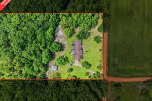 1310 Carlis Ln, Westville, FL 32464 - Photo 23