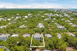 79 Patina Blvd, Inlet Beach, FL 32461 - Photo 39