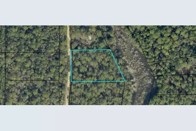 .99Ac Dove Run Road, Holt, FL 32564 - Photo 1