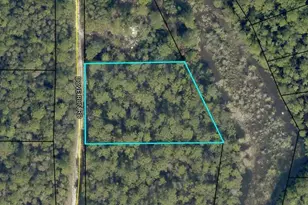 99Ac Dove Run Rd, Holt, FL 32564 - Photo 1