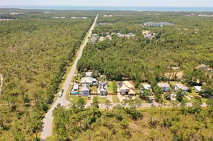 230 E Lamb Dr, Santa Rosa Beach, FL 32459 - Photo 75