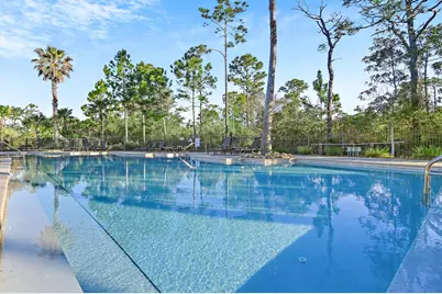 239 Flatwoods Forest Loop, Santa Rosa Beach, FL 32459 - Photo 33