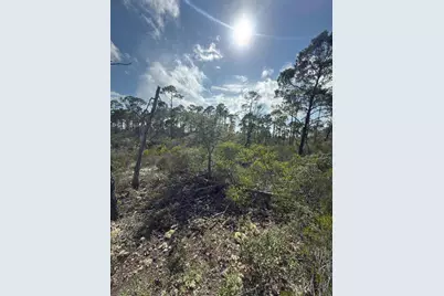 Lot A Adventure Avenue, Port Saint Joe, FL 32456 - Photo 3