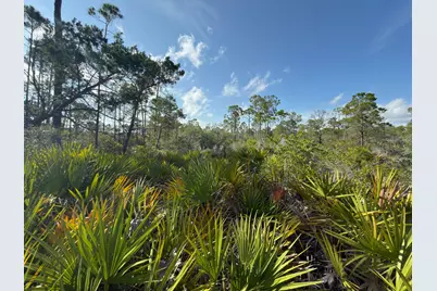 Lot A Adventure Avenue, Port Saint Joe, FL 32456 - Photo 5