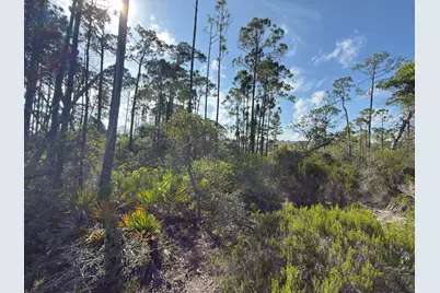 Lot A Adventure Avenue, Port Saint Joe, FL 32456 - Photo 9