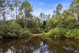 6178 Barnes Rd, Crestview, FL 32536 - Photo 9