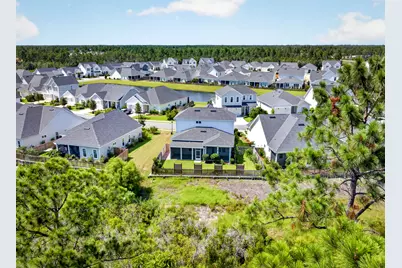 175 Suwannee Drive, Inlet Beach, FL 32461 - Photo 37