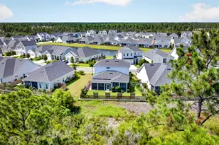 175 Suwannee Dr, Inlet Beach, FL 32461 - Photo 37