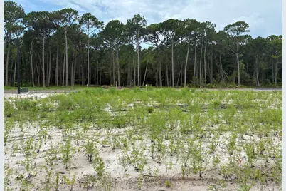 134 Old Creek Trail, Destin, FL 32541 - Photo 5