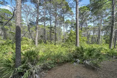 80 E Milestone Drive #UNIT A, Inlet Beach, FL 32461 - Photo 37