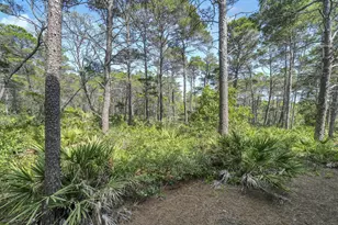 80 E Milestone Dr, Inlet Beach, FL 32461 - Photo 37