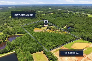 2897 Adams Rd, Crestview, FL 32536 - Photo 5
