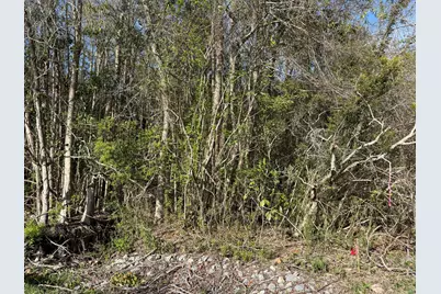 Lot 8 Marsh Avenue, Freeport, FL 32439 - Photo 23
