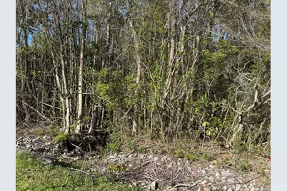 Lot 8 Marsh Avenue, Freeport, FL 32439 - Photo 11